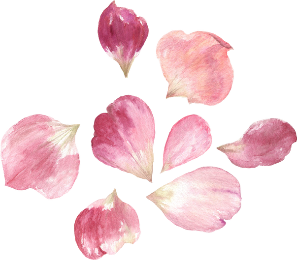 Rose Petals Watercolor