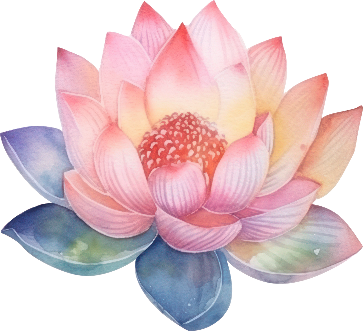 Lotus Flower Watercolor Illustration